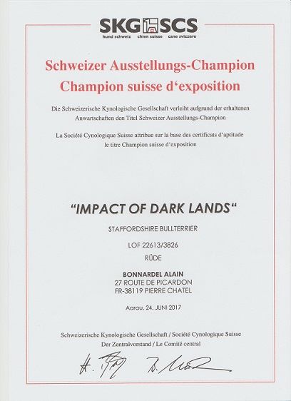 CH. Impact Of Dark Lands